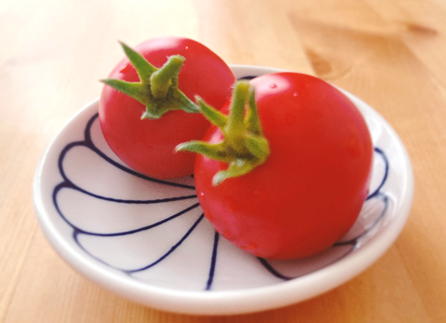 初収穫トマト